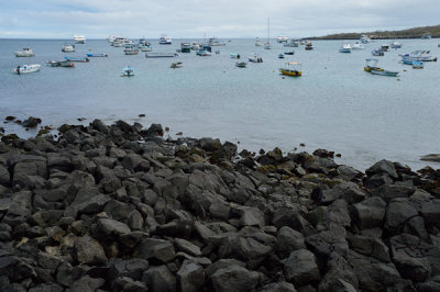 ABD Ecuador and Galapagos [Web Files] - 366.JPG