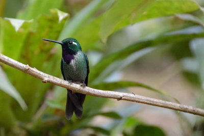 ABD Ecuador and Galapagos [Web Files] - 388.JPG