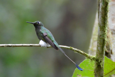 ABD Ecuador and Galapagos [Web Files] - 389.JPG