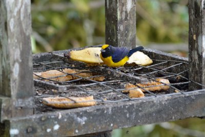 ABD Ecuador and Galapagos [Web Files] - 401.JPG