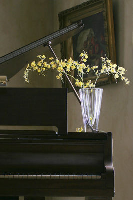 Vase on Piano