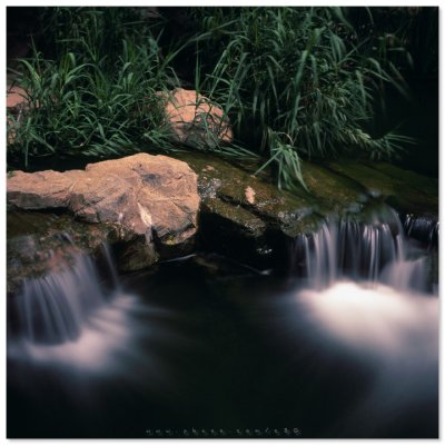 Hong Kong Park - 香港公園