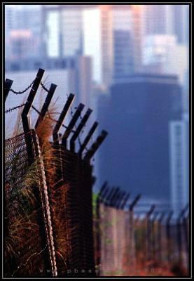 Western Harbour Crossing - 西隧