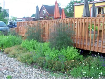 potager8.jpg
