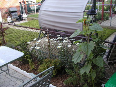 MixedHedge2.jpg