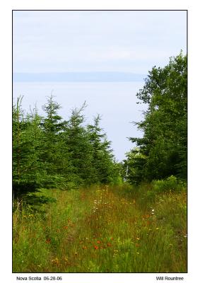 img_2019_NS_12x72.jpg