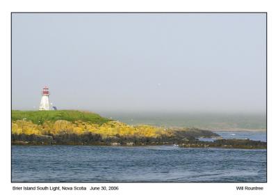 IMG_0950_BrierIs03.jpg