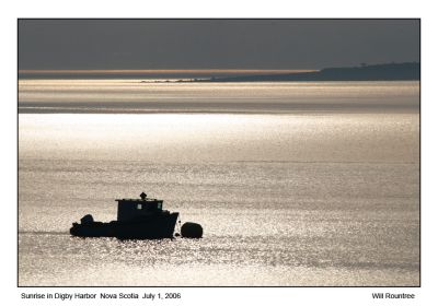 IMG_2259_Digby01.jpg