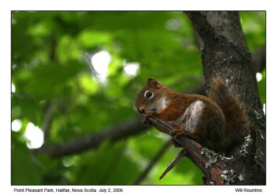 IMG_2377_Halifax06.jpg