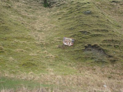 auld braidlie_14.JPG