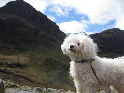 Boysie in Glencoe