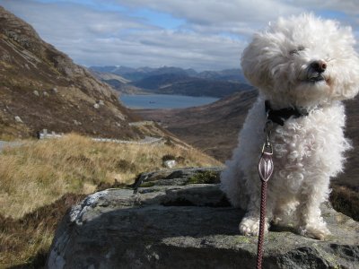 skye