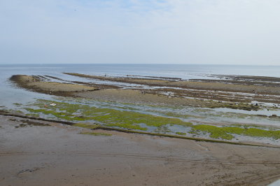 whitby-aug2012_14.JPG