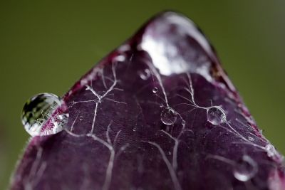 g4/41/399841/3/63255172.hCTGDmrG.jpg