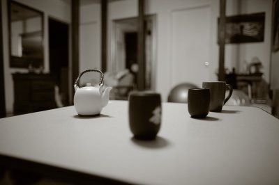 20080109 -- 004508 -- Canon 5D + 24 / 1.4L @ f / 1.4, 1/15, ISO 100