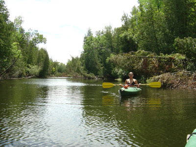 DSC02409.JPG