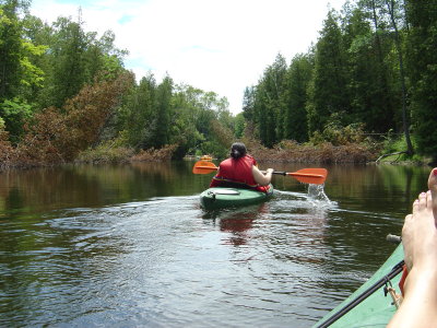 DSC02414.JPG