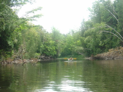 DSC02421.JPG