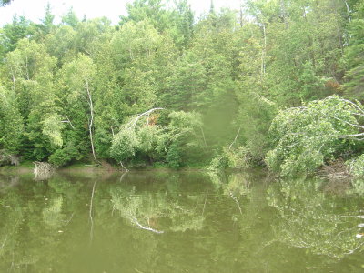 DSC02422.JPG