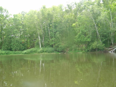 DSC02426.JPG