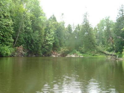 DSC02430.JPG