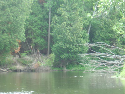 DSC02440.JPG