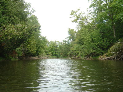 Kayaking the Saugeen River