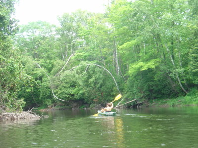 DSC02451.JPG