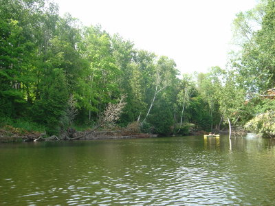 DSC02459.JPG