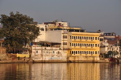 DSC_0382.jpg