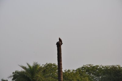 DSC_0471_4.jpg