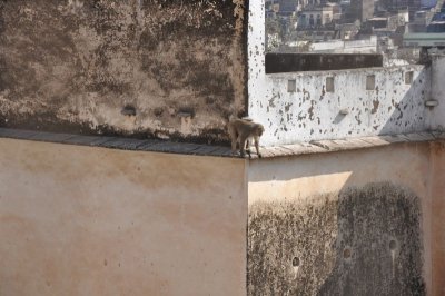 DSC_0520_2.jpg