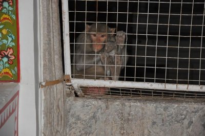 DSC_0888_2.jpg