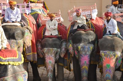 DSC_0200_2.jpg