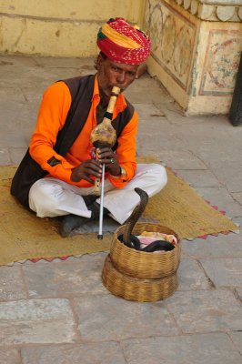 DSC_0826_2.jpg