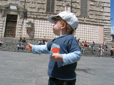 IMG_2636_65_1.JPG