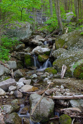 05-21-06 076.jpg