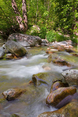 05-21-06 104.jpg