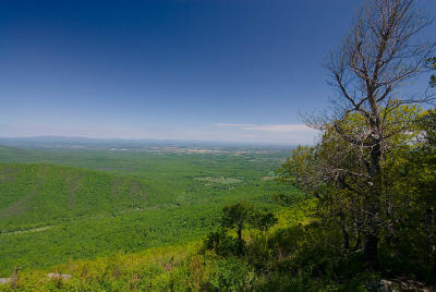 05-21-06 142.jpg