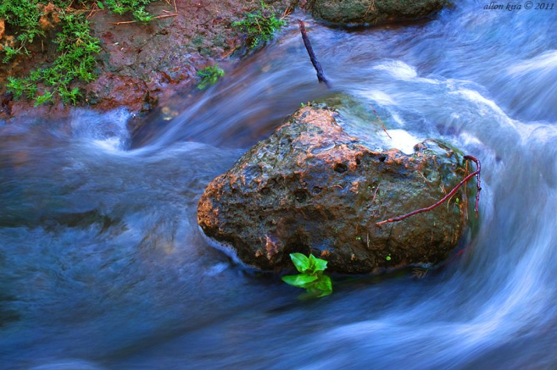 DSCF3249.jpg