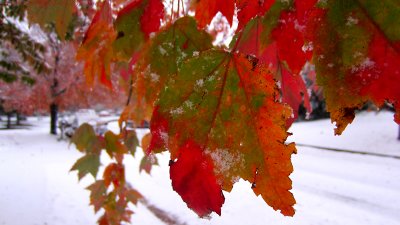 October Snow