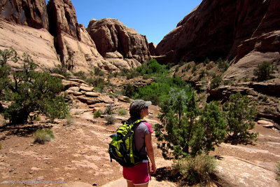 Varied Moab Landscape.