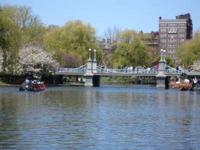 g4/41/515841/3/59494052.Boston5088.jpg