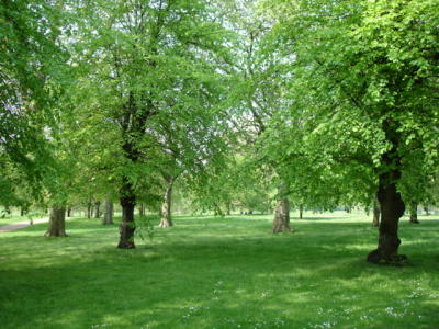 Hide Park 4.jpg