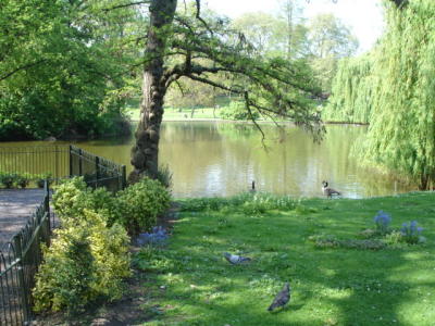 S.James Park 16.jpg