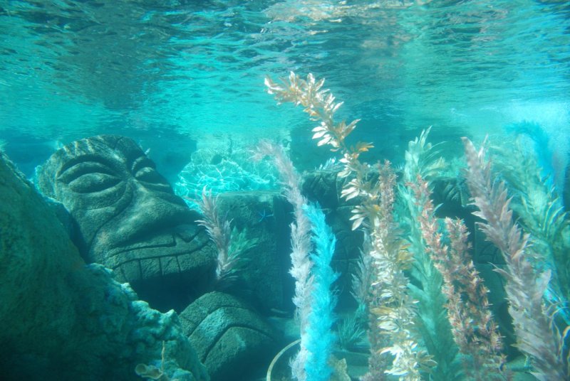 Finding Nemo Submarine Voyage