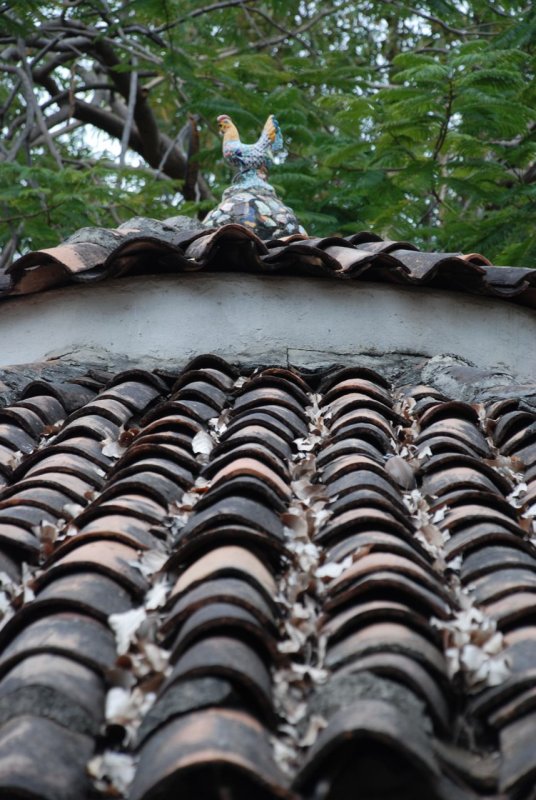 Isla Cuale craft market roof