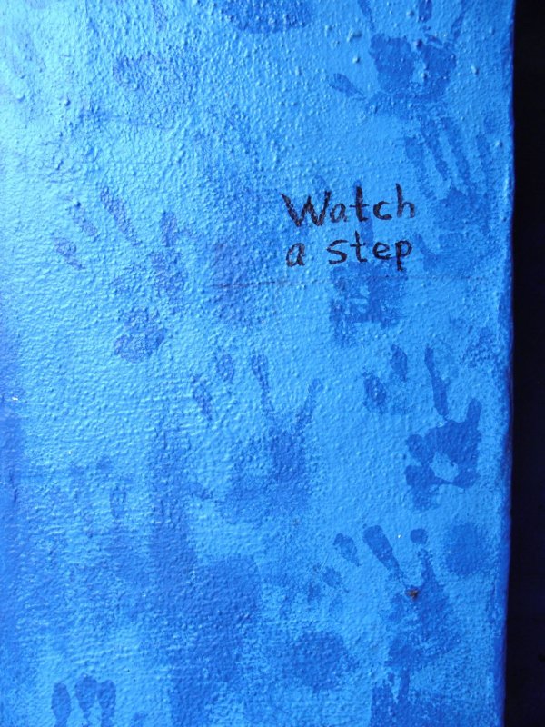 Watch a Step