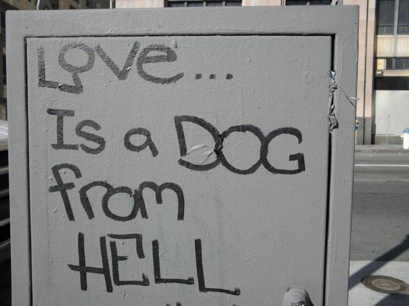 Love is a Dog from Hell