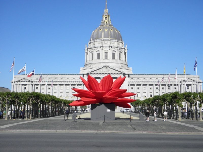Breathing Flower and City Hall
